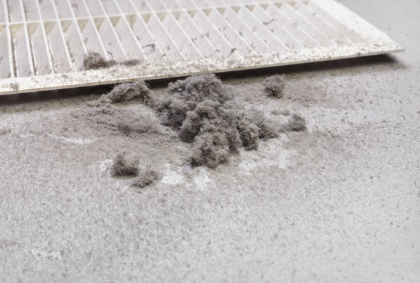 Best Air Duct Cleaning Near Me  in Spencer, IA
