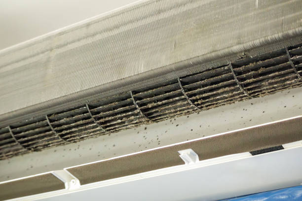 Best General Air Duct Cleaning  in Spencer, IA